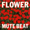 Flower [Limited Edition]