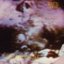 Ministry - Land Of Rape And Honey [Deluxe] (Bme)