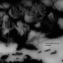 Wounds [LP]