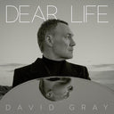 David Gray - Dear Life (Vinyl LP)