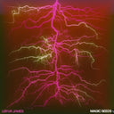 Magic Seeds [LP]