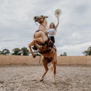 Emotional Rodeo (Uk) [LP]