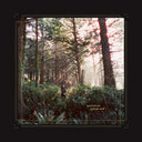 Haley Heynderickx - Seed of a Seed [Indie Exclusive Foxglove LP]