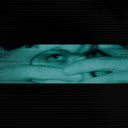 Through Blinds [LP]
