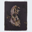 Belt Of Orion [LP]