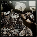 Pre-Order: Nurse With Wound - Merzbild Schwet [LP]