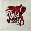 Many Faces Of Tina Turner / Various [Clear Vinyl] (Gate)