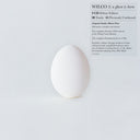Wilco - A Ghost Is Born (Deluxe Edition) -  [9 CD BOX SET]