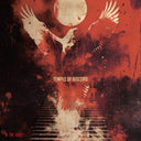 In The Ashes [LP]