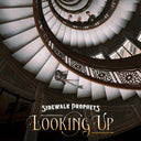 Sidewalk Prophets - Looking Up [LP]
