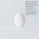 Wilco - A Ghost Is Born (Deluxe Edition) -  [9LP/4CD BOX SET]