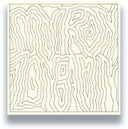 Congregate [LP]