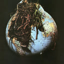 Drosselbart [LP]