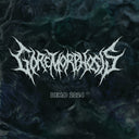 Goremorphosis - Demo 2024 [CD]