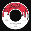 Brenda - Where Did I Go Wrong B/W Family [7" Vinyl]