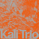 Playful Abstract (Uk) [LP]