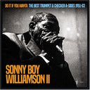 Williamson Sonny Ii  Boy - Do It If You Wanta: The Best Trumpet & Checker [LP]