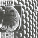 Spleen - Demos (Uk) [LP]