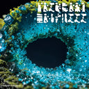 Primary Forest 03 / Various - Primary Forest 03 / Various [LP]