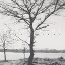 Rico Friebe - Maintenant [Limited Edition] [Digipak] (Aus)