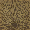 Piano Studies 337 [LP]