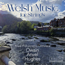 Royal Philharmonic Orchestra - Welsh Music For Strings [CD]