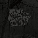 Temple of the Fuzz Witch - Temple Of The Fuzz Witch [LP]