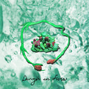 Wombo - Danger In Fives [CD]