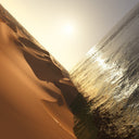 Mark Pritchard - Under The Sun (Gate) [LP]