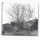 Siavash Amini - Caligo [CD]