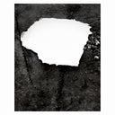 Zelienople - Everything Is Simple [LP]