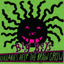 Lullabies Help The Brain Grow [LP]