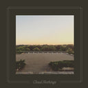 Cloud Nothings - The Black Hole Understands [Gold LP]