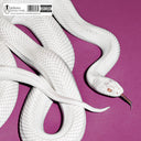 Deftones - private music [Indie Exclusive Alternate Cover Fog Color]