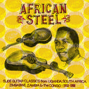 African Slide Guitar / Various - African Slide Guitar / Various [LP]
