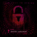From Fall to Spring - Entry Wounds [CD]
