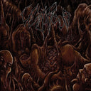 Vulnificus - Inclination [CD]