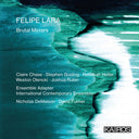 Felipe Lara: Brutal Mirrors / Various - Felipe Lara: Brutal Mirrors (Various Artists) [CD]
