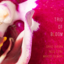 Trio Of Bloom - Trio Of Bloom [CD]