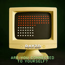 Rayzd - Are You Connected To Yourself [CD]