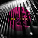 Kai Schumacher - Rausch [LP]