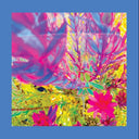 Reds Pinks & Purples - Past Is A Garden I Never Fed (Blue) [Colored Vinyl] [Download Included]