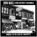 Don Was - Groove In The Face Of Adversity [LP]