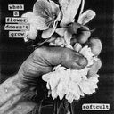 Softcult - When A Flower Doesn't Grow [LP]