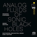 Analog Fluids Of Sonic Black Holes [LP]