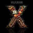 The 10 Year Anniversary Deluxe Edition [LP]