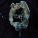 Ship Sket - Initiatrix (Stic) [LP]