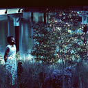 Jjjjjerome Ellis - Vesper Sparrow [CD]