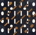 Dries Tack - In Memoriam Alvin Lucier [LP]
