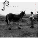 Worm - Pantilde [LP]